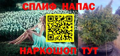 мяу мяу кристалл Гай