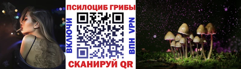 Псилоцибиновые грибы ЛСД  где купить наркоту  Советская Гавань 