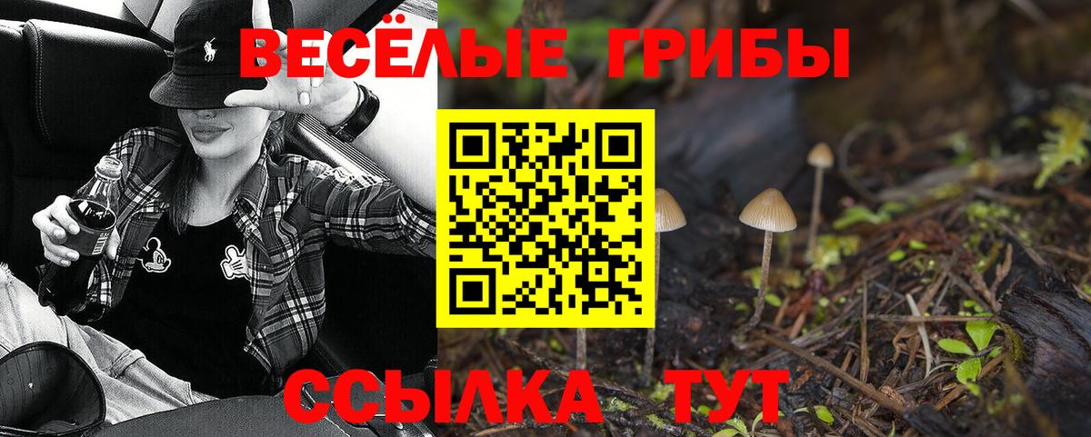 Псилоцибиновые грибы Psilocybe Советская Гавань