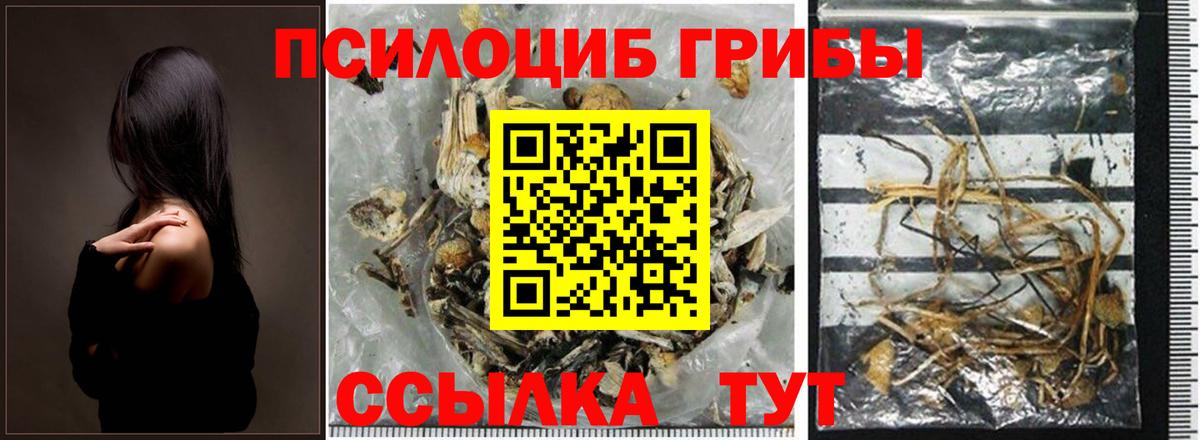 Псилоцибиновые грибы Cubensis  Галлюциногенные грибы GOLDEN TEACHER  Советская Гавань 