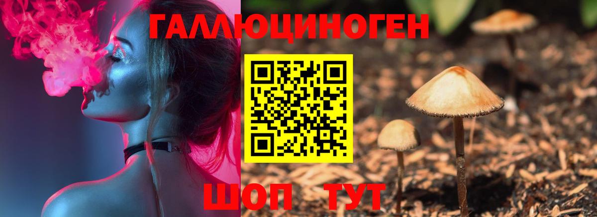 Галлюциногенные грибы Cubensis  Вход с VPN  Советская Гавань 