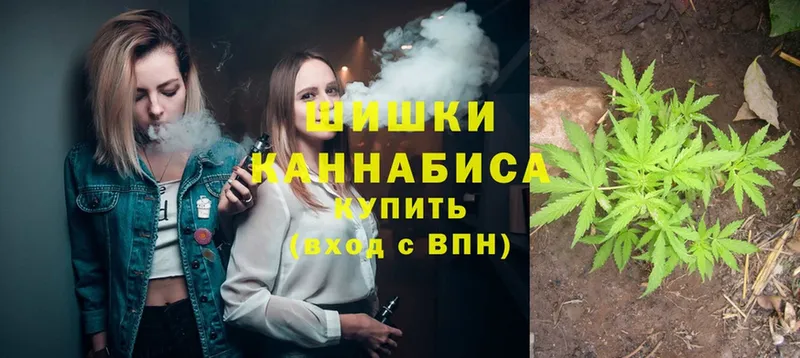 где найти   Советская Гавань  Бошки марихуана Bruce Banner 